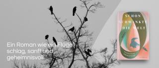 Raben auf einem Baum. Link zum Buch Schon schwankte die Welt.