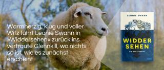 Schaf. Link zum Buch Widdersehen.