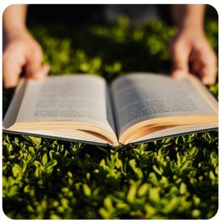 Buch in der Wiese. Link zu unserem Onlineschaufenster 10 Romane - für ein (langes) Wochenende