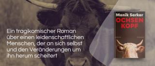 Ochse. Link zum Buch Ochsenkopf.