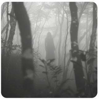 Frau im Wald im Nebel. Link zu unserem Onlineschaufenster 10mal unter 20 Euro.
