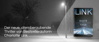 Winter. Link zum Buch Kalte Tage.