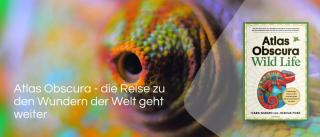 Chamäleon. Link zum Buch Atlas Obscura.